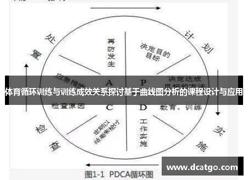体育循环训练与训练成效关系探讨基于曲线图分析的课程设计与应用
